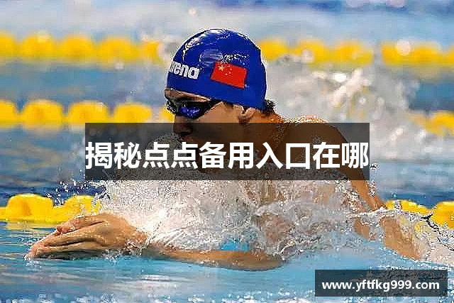 揭秘点点备用入口在哪